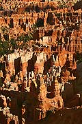 9051 - Photo : Amérique, USA, Etats-Unis, Bryce Canyon, Image of America 9051 - Photo : Amérique, USA, Etats-Unis, Bryce Canyon, Image of America