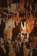 9052 - Photo : Amrique, USA, Etats-Unis, Bryce Canyon,  Image of America