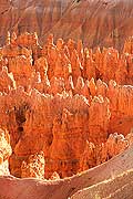 9058 - Photo : Amrique, USA, Etats-Unis, Bryce Canyon,  Image of America