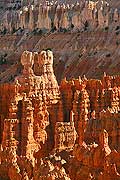9059 - Photo : Amérique, USA, Etats-Unis, Bryce Canyon, Image of America 9059 - Photo : Amérique, USA, Etats-Unis, Bryce Canyon, Image of America