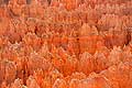 9061 - Photo : Amérique, USA, Etats-Unis, Bryce Canyon, Image of America 9061 - Photo : Amérique, USA, Etats-Unis, Bryce Canyon, Image of America