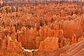 9062 - Photo : Amérique, USA, Etats-Unis, Bryce Canyon, Image of America 9062 - Photo : Amérique, USA, Etats-Unis, Bryce Canyon, Image of America
