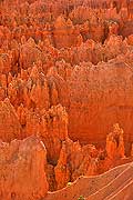9063 - Photo : Amérique, USA, Etats-Unis, Bryce Canyon, Image of America 9063 - Photo : Amérique, USA, Etats-Unis, Bryce Canyon, Image of America
