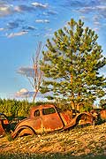 9066 - Photo : Amrique, USA, Etats-Unis,  Image of America - vieille voiture rouille