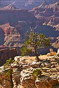 9102 - Photo : Amrique, USA, Etats-Unis - Grand Canyon national Park,  Image of America
