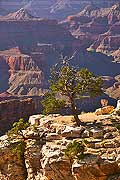 9102 - Photo : Amérique, USA, Etats-Unis - Grand Canyon national Park, Image of America 9102 - Photo : Amérique, USA, Etats-Unis - Grand Canyon national Park, Image of America