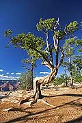 9104 - Photo : Amérique, USA, Etats-Unis - Grand Canyon national Park, Image of America 9104 - Photo : Amérique, USA, Etats-Unis - Grand Canyon national Park, Image of America