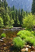 9109 - Photo : Amrique, USA, Etats-Unis,  Image of America - Yosemite National Park - Californie