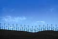 9159 - Photo : USA, Etats-Unis, Californie, eoliennes