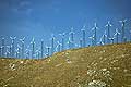 9162 - Photo : USA, Etats-Unis, Californie, eoliennes