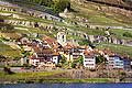 9394 - Photo : Suisse, canton de Vaud, vignoble de Lavaux en terrasses - Saint-Saphorin, Lac Lman