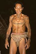 9420 - Photo : Hommes-fleurs, Mentawais, le de Siberut, Indonsie