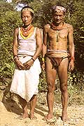 9461 - Photo : Hommes-fleurs, Mentawais, le de Siberut, Indonsie