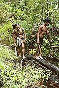 9474 - Photo : Hommes-fleurs, Mentawais, le de Siberut, Indonsie