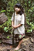 9479 - Photo : Hommes-fleurs, Mentawais, le de Siberut, Indonsie