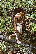 9488 - Photo : Hommes-fleurs, Mentawais, le de Siberut, Indonsie