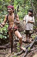 9496 - Photo : Hommes-fleurs, Mentawais, le de Siberut, Indonsie