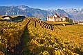 9607 - Photo : Suisse, Canton de Vaud, le Chteau d'Aigle et son vignoble dans le Chablais - switzerland castle and swiss wines - wein, schweiz