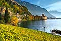 9608 - Photo : Suisse, Canton de Vaud, le Chteau Chillon et le Lac Lman avec son vignoble - switzerland castle and swiss wines - wein, schweiz