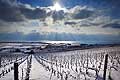 9610 - Photo : Suisse, Canton de Vaud en hiver, la Cte et son vignoble sous la neige avec le Lac Lman  - switzerland, snow, swiss wines - wein, schweiz