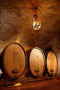 9835 - Photo : Suisse, vignoble de Genève - cave - Geneva, switzerland, swiss wines - wein, schweiz
