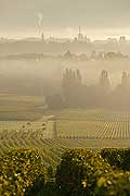 9839 - Photo : Suisse, vignoble de Genève, Dardagny - Geneva, switzerland, swiss wines - wein, schweiz