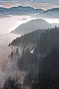 9910 - photo : mer de brouillard, canton de Vaud, Suisse