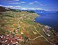 9916 - Photo : Suisse, canton de Vaud, vignoble de Lavaux en terrasses, Riex - Epesses et le Lac Lman - vein, wine, Vineyards, Switzerland