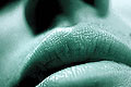 Galerie - gallery